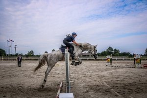 jeżdziec na koniu skacze przez przeszkodę