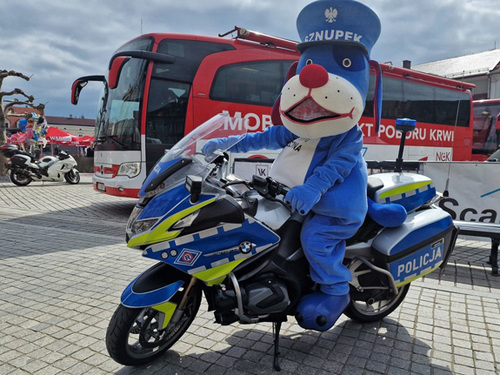 Policyjna maskotka - SZNUPEK - na motocyklu ruchu drogowego, w tle autobus do pobierania krwi.