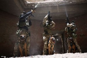 Zdjęcie przedstawia trzech policjantów stojących w zrujnowanym budynku. Celują oni do wyrwy w dachu, przez którą do środka pomieszczenia wdziera się światło. Przed każdym z policjantów stoi jeden pies bojowy.