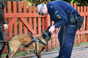 Zdjęcie przedstawia psa policyjnego ubranego w kamizelkę z napisem "Policja" z opiekunem, policjantem, w mundurze służbowym.