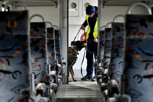 Zdjęcie przedstawia psa policyjnego ubranego w kamizelkę z napisem "Policja" ćwiczącego wraz z opiekunem w wagonie pociągowym.