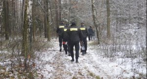Czynności wykonywane przez policjantów w lesie