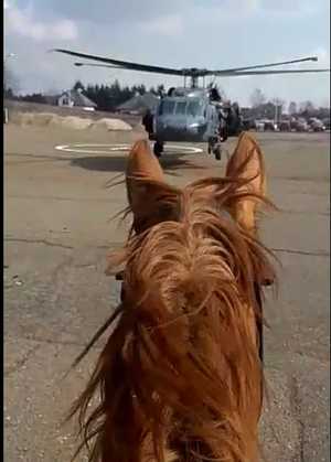 Ćwiczenia z wykorzystaniem policyjnego Black Hawka