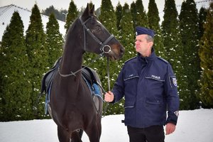 Policjant stoi obok konia, trzyma go za wodze. Policjant i wierzchowiec zwróceni do siebie, patrzą sobie w oczy. Zdjęcie wykonane od przodu w ciągu dnia, w tle drzewa i padający śnieg.