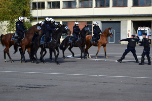 Policjanci na koniach podczas atestacji.