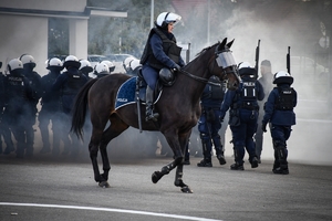 Policyjni jeźdźcy na koniach podczas przygotowań do atestacji na placu Oddziału Prewencji Policji w Rzeszowie