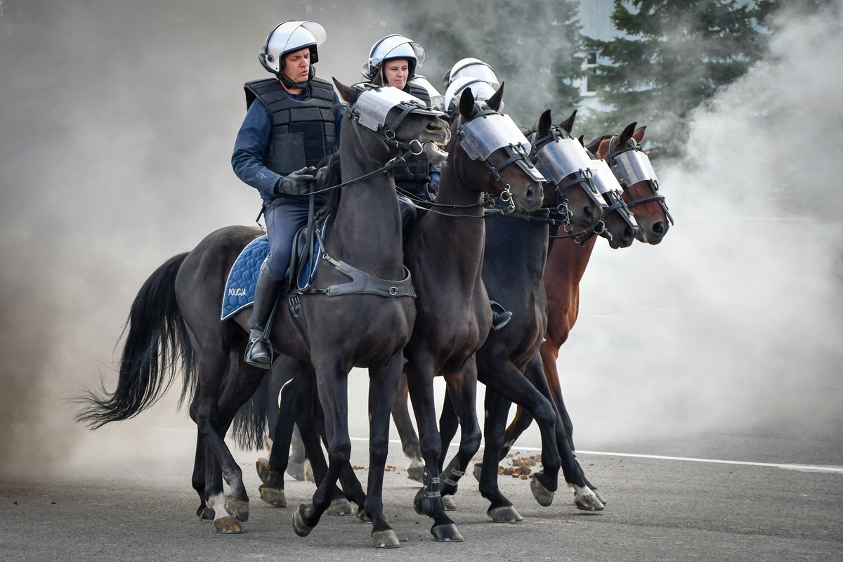 Egzamin policyjnych wierzchowców