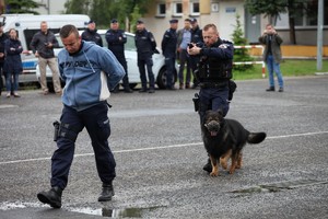 Policjant z bronią i psem policyjnym prowadzą przed sobą osobę zatrzymaną. W tle stoją ludzie.