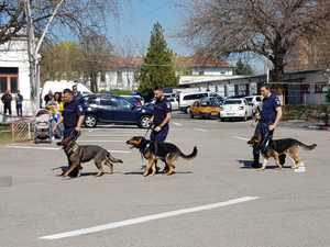 Policyjni przewodnicy psów z psami