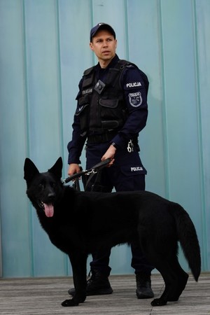 Policjant przewodnik psa służbowego z psem
