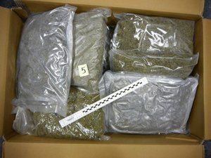 kartonowe pudło wypełnione workami z marihuaną