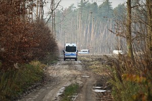Zdjęcie. Widoczne samochody Policji i innych służb w terenie leśnym