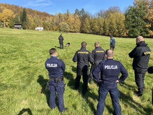 Zdjęcie. Widoczna grupa policjantów podczas szkolenia w terenie leśnym.