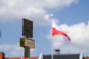 kolorowe zdjęcie głowicy sztandaru