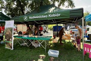 zdjęcie przedstawiające namiot promocyjny Nadleśnictwa Kobiór oraz jego pracowników. W tle widać zwiedzających