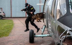 dzień 1 policjant wyskakuje z psem ze śmigłowca