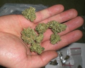 Na zdjęciu widać dłoń, na której znajdują się kulki z suszu roślinnego, które okazały się być marihuaną