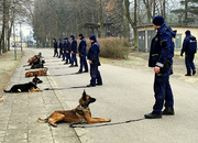 szkolenie psów służbowych w Sułkowicach