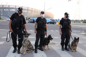 policjanci z psami służbowymi
