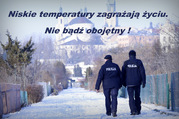 Zdjęcie przedstawia dwóch umundurowanych policjantów patrolujących ogródki działkowe w Lublinie.