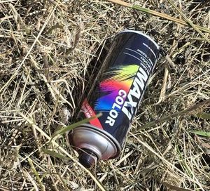 znaleziona na trawie puszka po farbie w sprayu