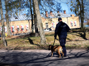 Przewodnik psa służbowego wraz ze swoim czworonożnym partnerem idą po parku.