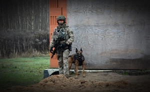 Szkolenie psów bojowych