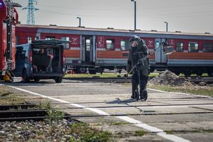 uczestnicy ćwiczeń
